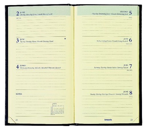 Pocket diary Interplan week to a view, creme paper
