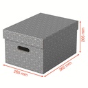 Esselte Home Storage Box Medium, Pack of 3