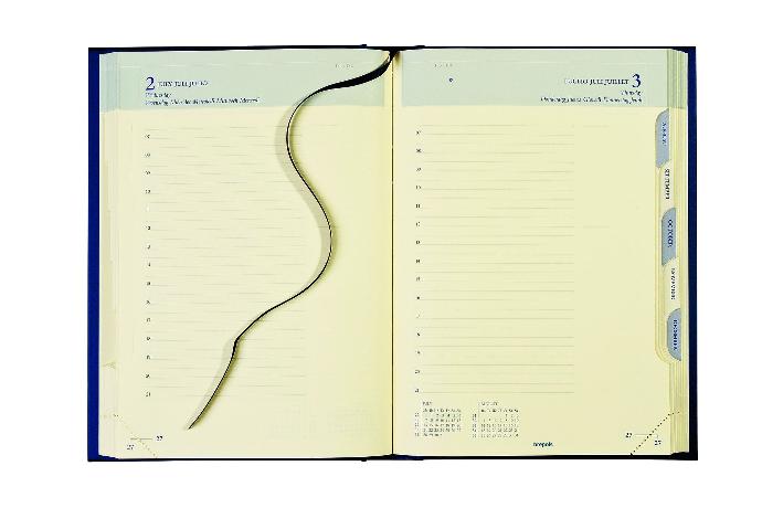 Office diary Euro 1 day a page, creme paper