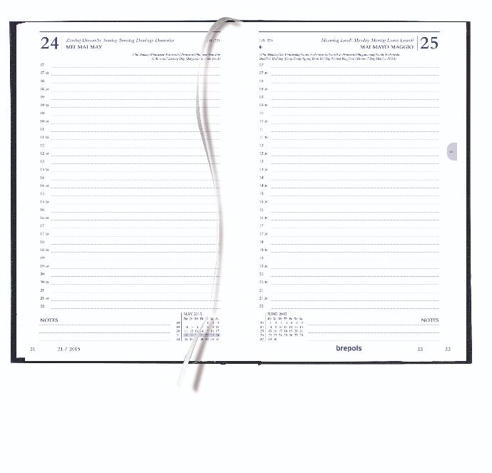 Agenda de bureau Saturnus 1 jour par page, papier blanc