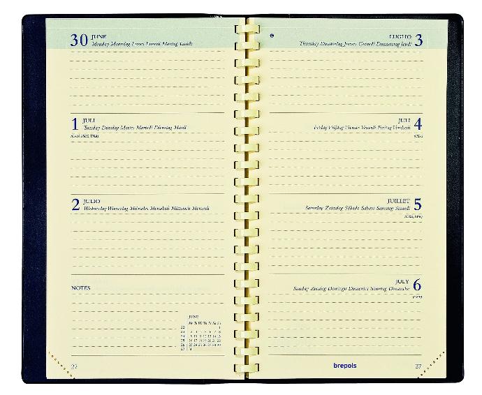 Pocket diary Interplan week to a view, creme paper