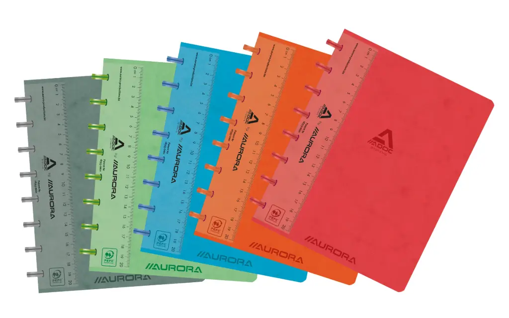 CAHIER LIN-EX A5 Q5X5M 144PAGES
