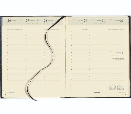 Bureau agenda Timing weekoverzicht, chamois papier