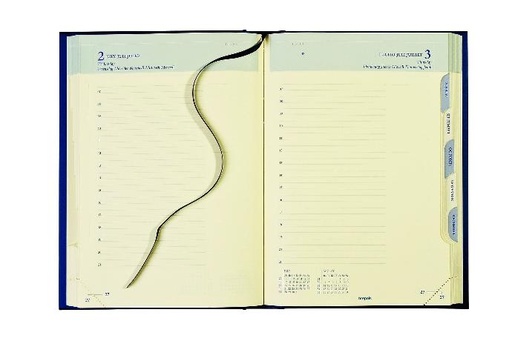 Agenda de bureau Euro 1 jour par page, papier chamois