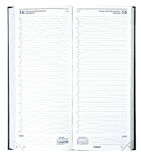 Office diary Saturnus 1 day on 2 pages, white paper