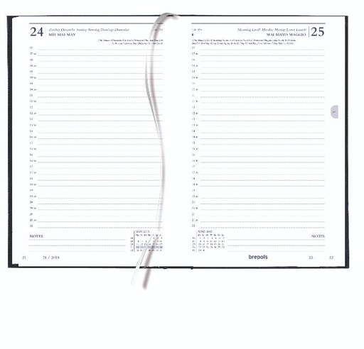 Bureau agenda Saturnus 1 dag per pagina, wit papier