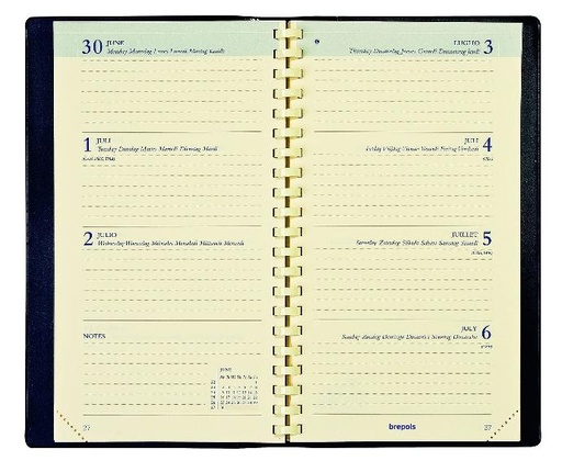 Zakagenda Interplan weekoverzicht, chamois papier