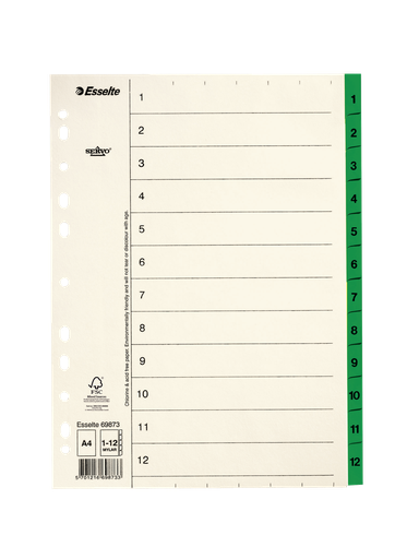 Esselte index A4 cardboard 1-12 tabs