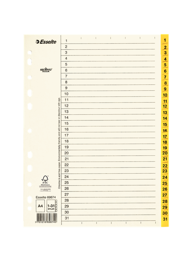 Esselte index A4 cardboard 1-31 tabs