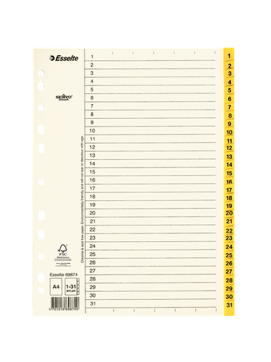 Esselte index A4 karton 1-31 tabs