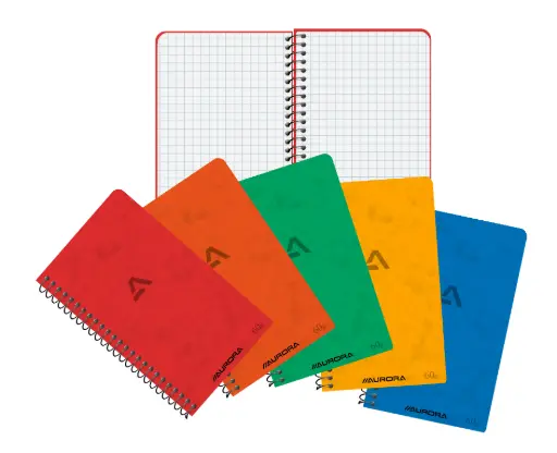 [5411028020263] CARNET SPIRALÉ 8X13,5 100P Q5X5